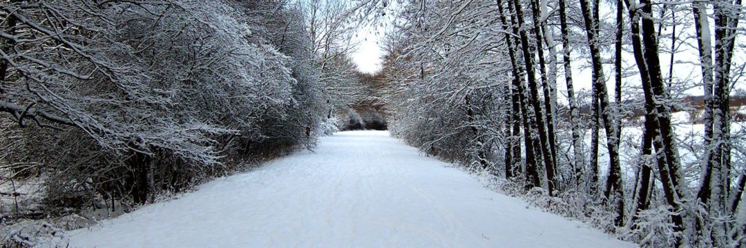 neige à neufgrange