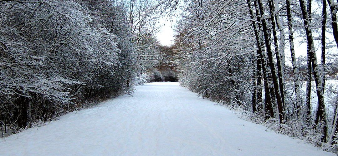 neige à neufgrange