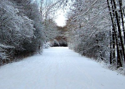 Neufgrange sous la neige