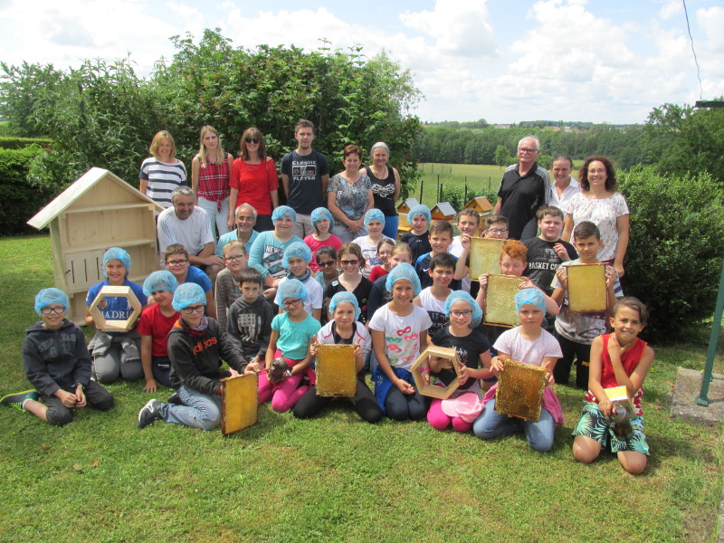 L’Ecole au rucher