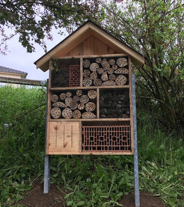 Hôtel à insectes